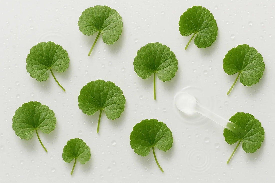 Centella asiatica i praksis
