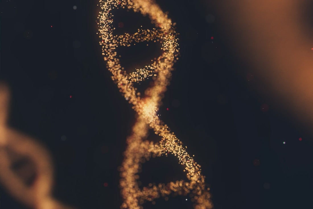 DNA-dobbeltspiral i gyldent lys – PDRN er rensede DNA-fragmenter