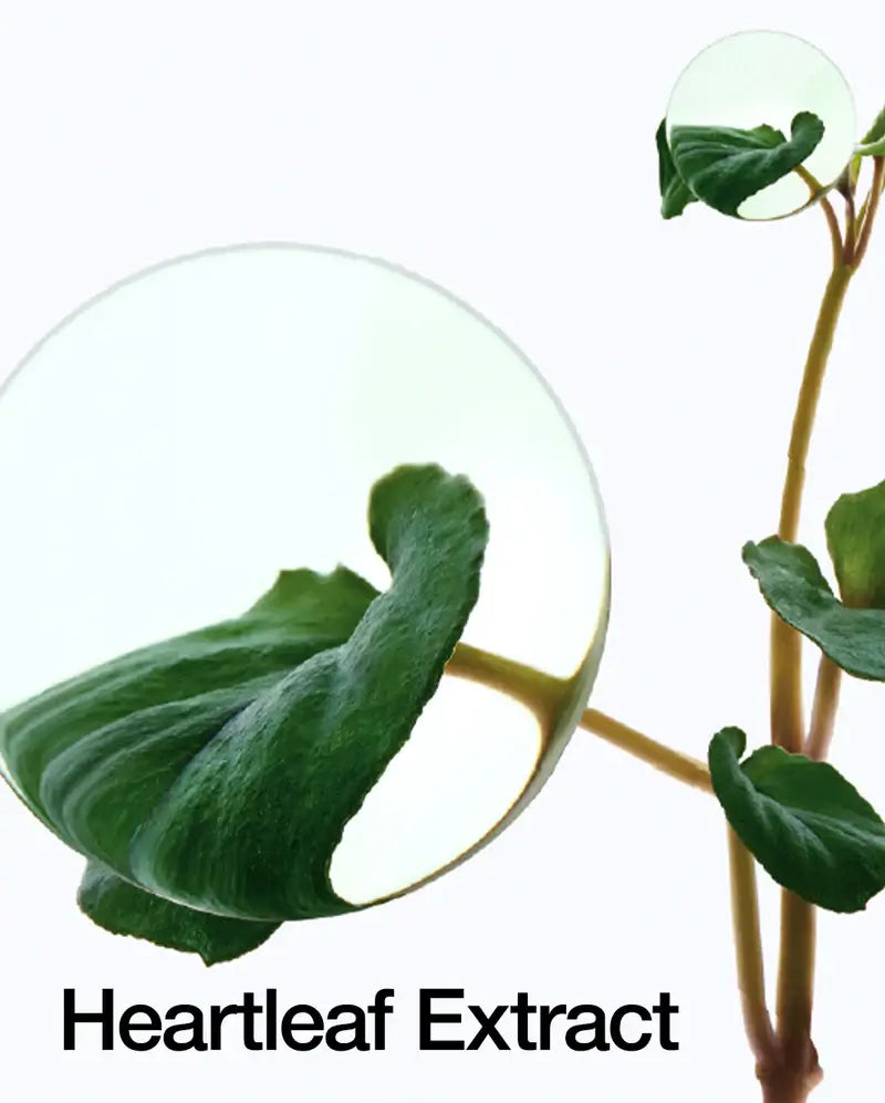 Anua Heartleaf Pore Control Cleansing Oil – Skånsom renseolie med hjertensblad, der effektivt fjerner makeup og renser porerne uden at irritere huden. 200 ml.