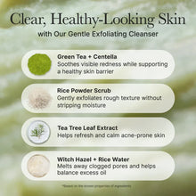 Fresh Green Rice Mochi Cleanser produkt information