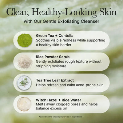 Fresh Green Rice Mochi Cleanser produkt information