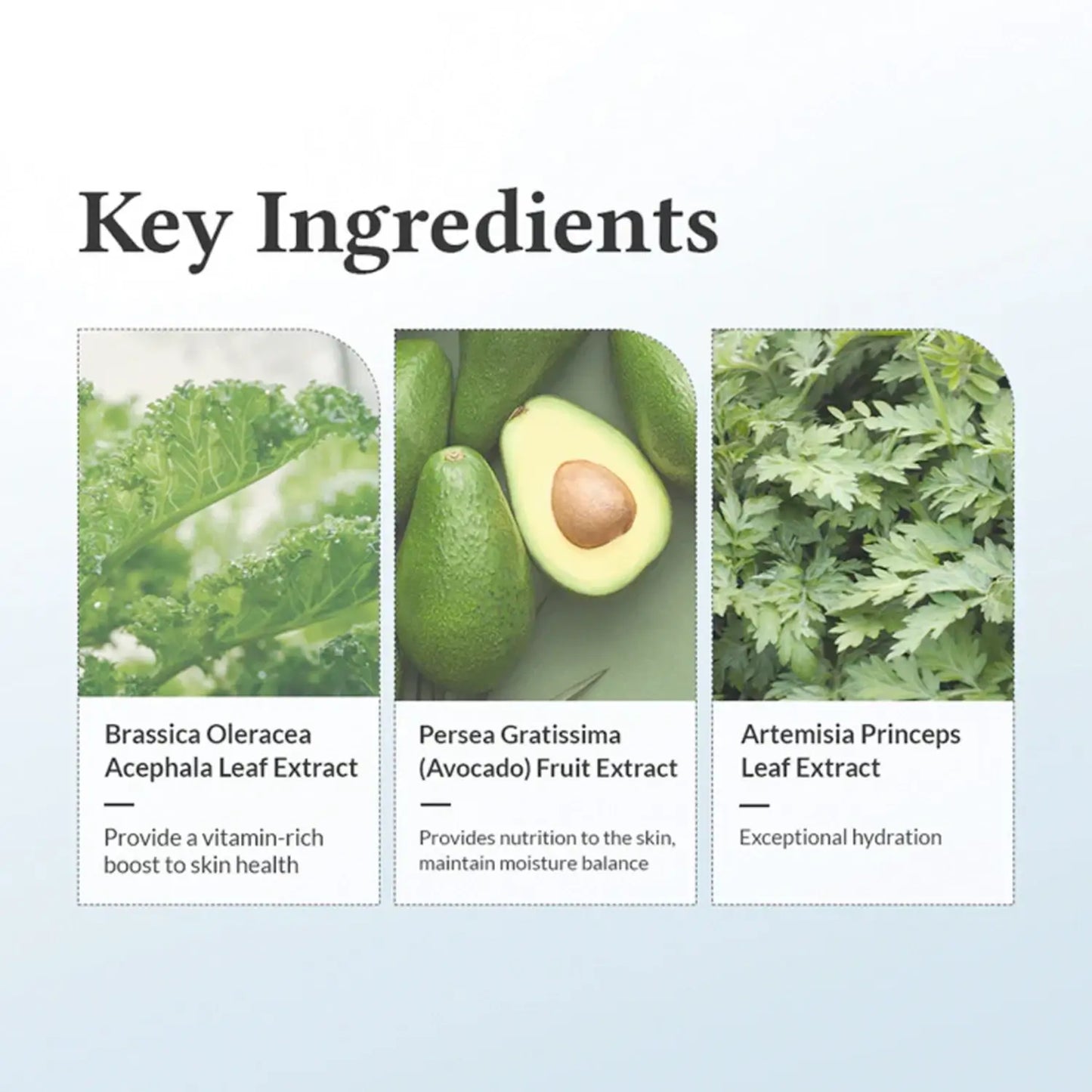 List of Dr. Althea - 147 Barrier Cream ingredients